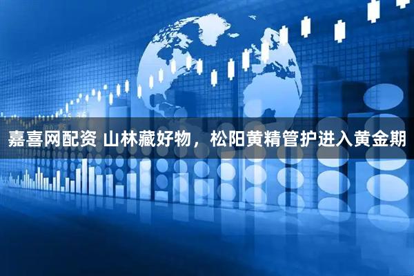 嘉喜网配资 山林藏好物，松阳黄精管护进入黄金期